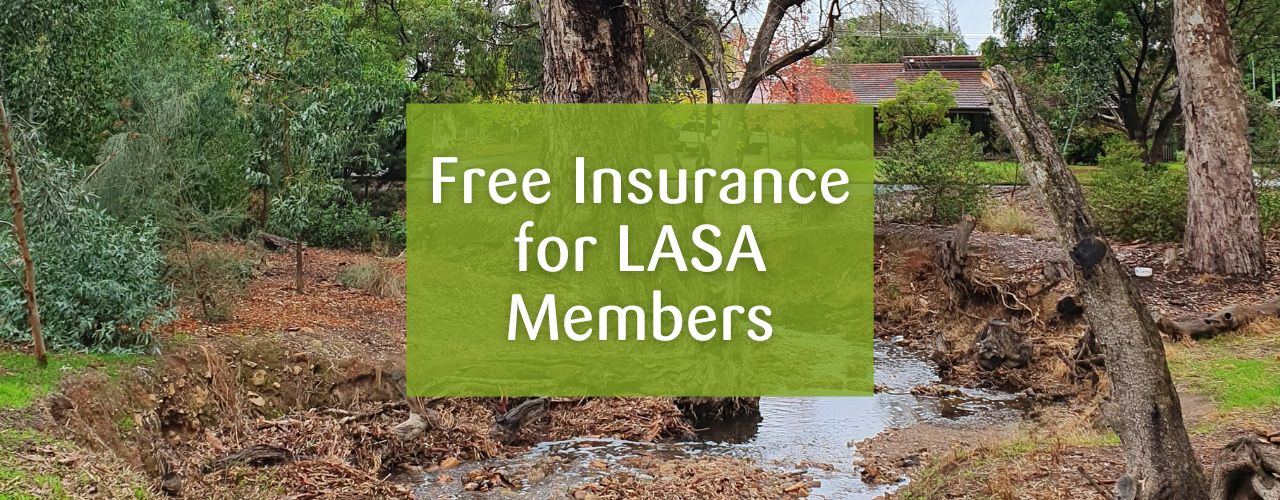 Featured image for “Free Registration for Insurance for LASA Member Groups”