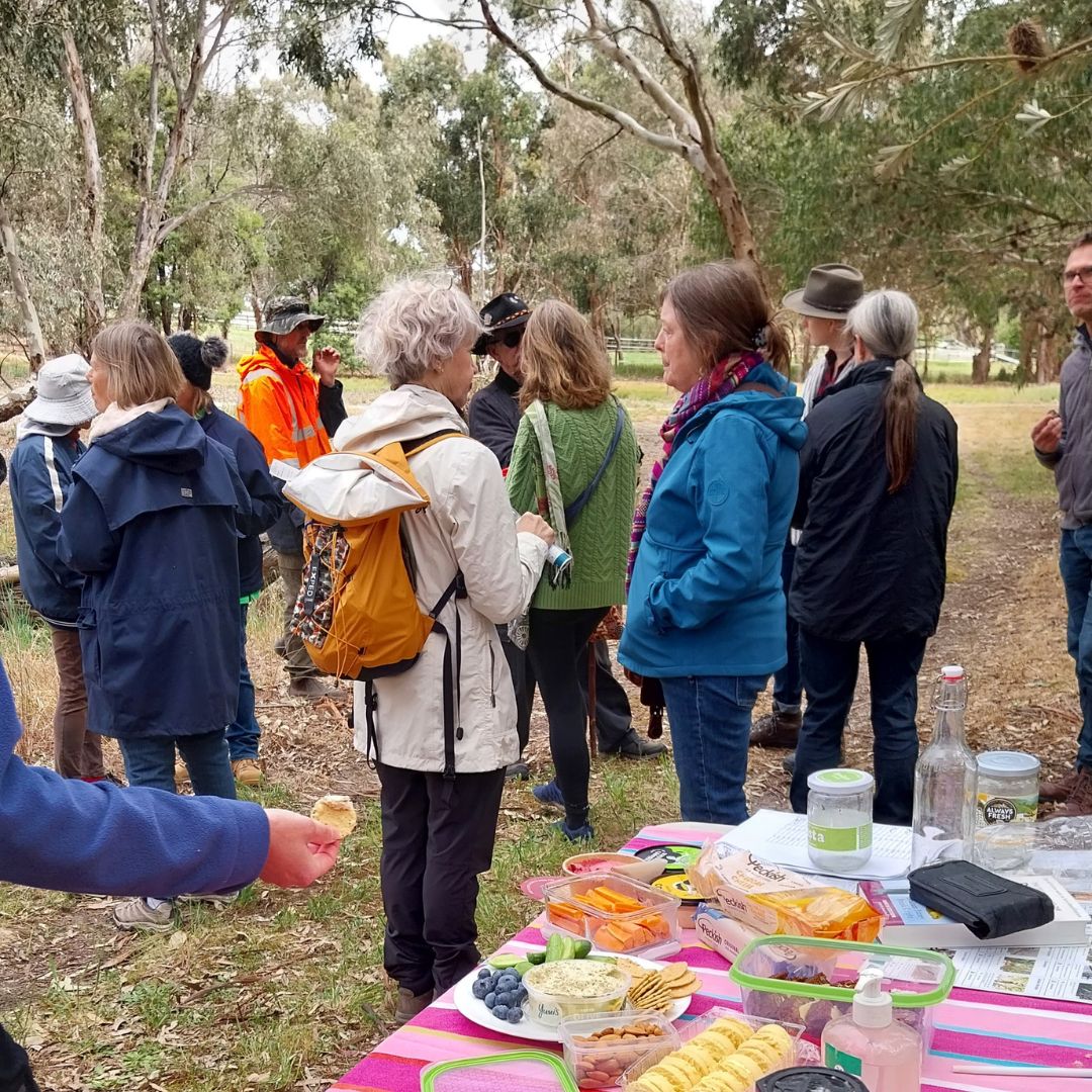 Featured image for “Friends of Torrens Island – Monthly Working Bees”